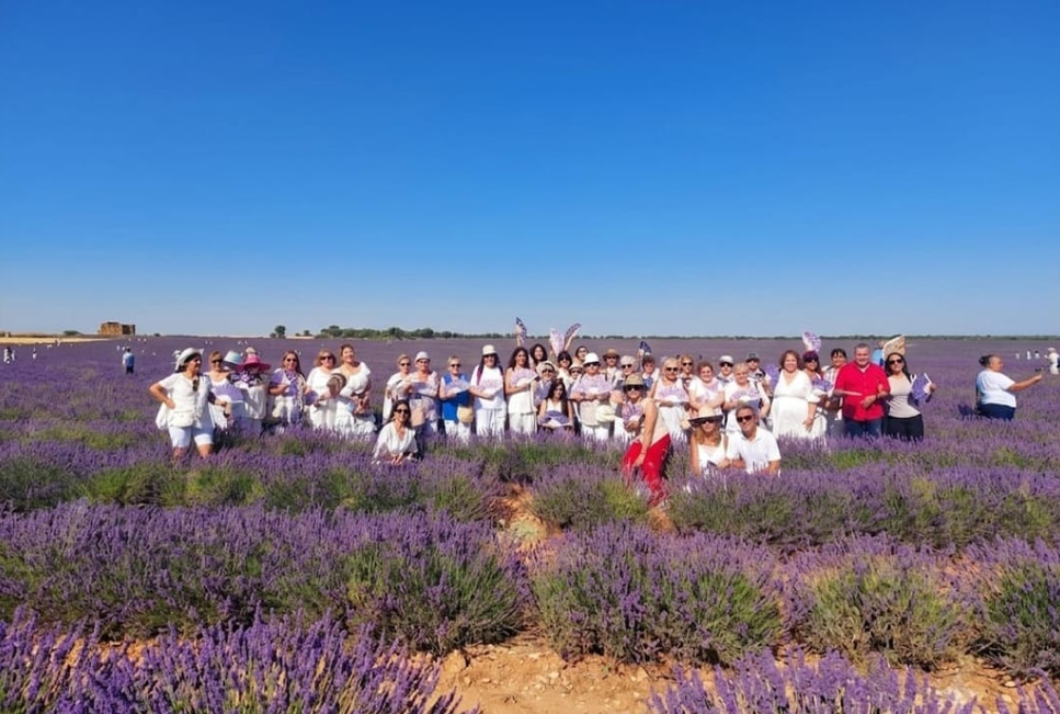 Grupo de personas mayores de 50 años disfrutando de una excursión entre campos de lavanda